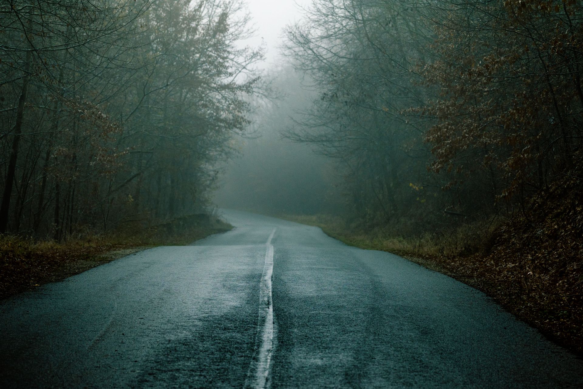 Misty forest road at dusk, Sleepy Hollow